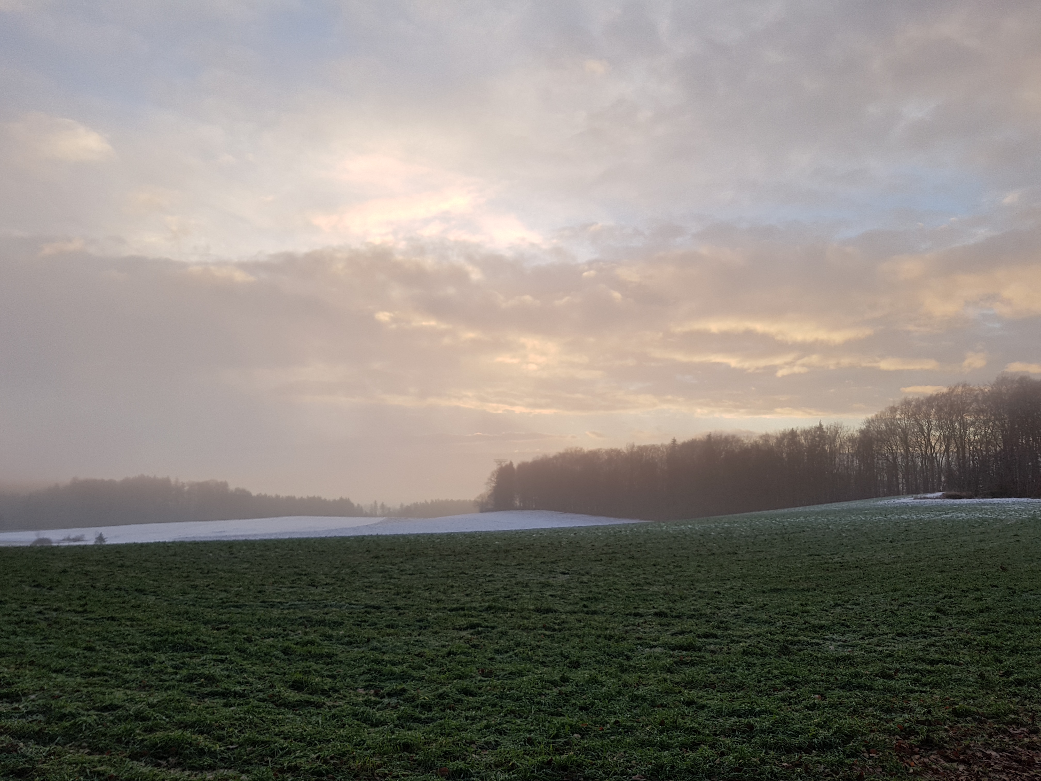 20.92.2021 - Rund um Markdorf - Ein Wintermorgen auf dem Gehrenberg