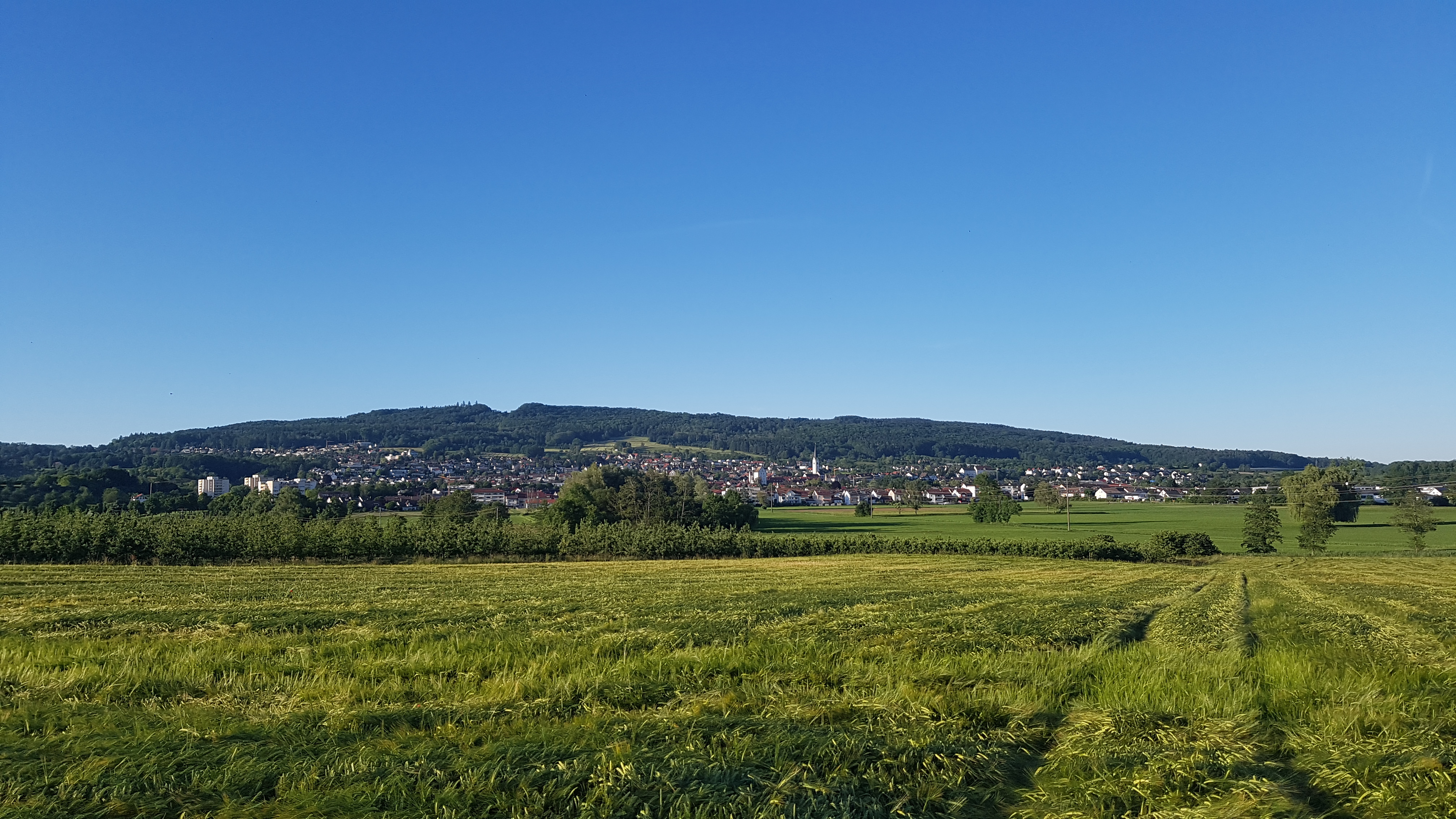 20.92.2021 - Rund um Markdorf - Der Gehrenberg von Süden